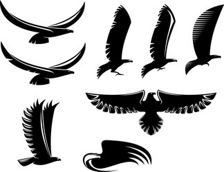 Heraldic Bird Symbol Set Vector Image