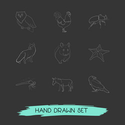 set of zoo icons line style symbols with beetle vector image