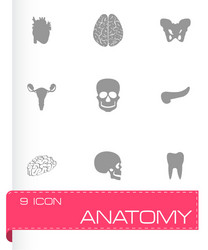 Anatomy icons set vector