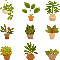 Decorative House Plants Vector Image