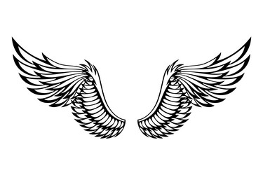 wings sketch stylized birds hand drawn Vector Image