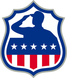 American Flag Salute Icon Vector Image