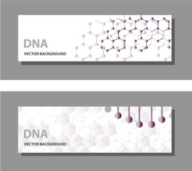set of 9 templates for presentation slides vector image