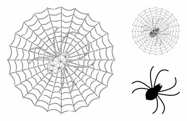 spider net mesh carcass model and triangle vector image