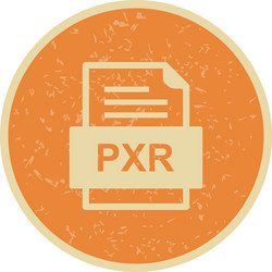 pxr file document icon vector image