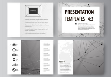 set of business templates for presentation slides vector