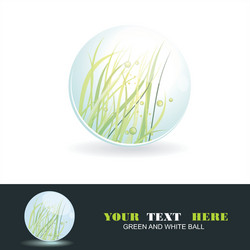 Sphere with grass inside shiny ball eco symbol vector