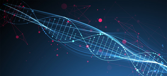 abstract dna background with plexus effect vector image