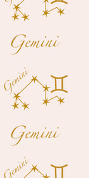 Vertical seamless border with gemini elements vector