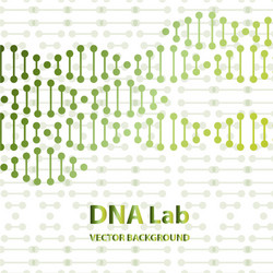dna structure double helix on white background vector image