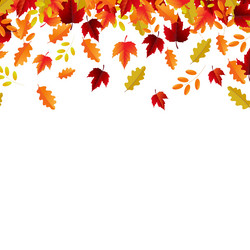 Autumn border and leaves vector