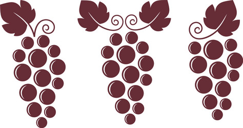 Blue grapes bunch color icon Royalty Free Vector Image