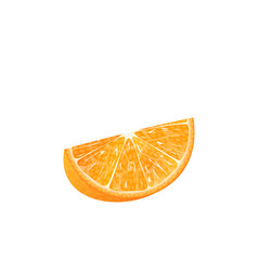 Realistic orange slice Royalty Free Vector Image