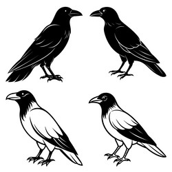 3d rendering of dynamic raven silhouette line art vector image