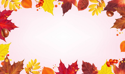 Autumn border with leaves vector