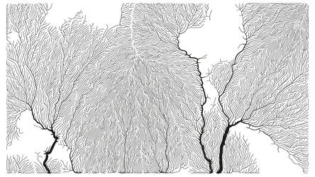 Growth pattern generative branching structure vector