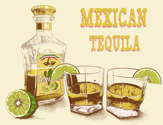 Tequila bottle with lime and cactus Royalty Free Vector