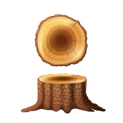 tree stump two views icons set vector image