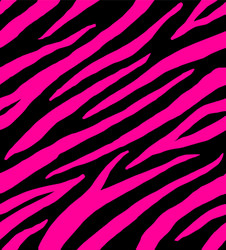 seamless pattern zebra fur print on fuchsia vector image