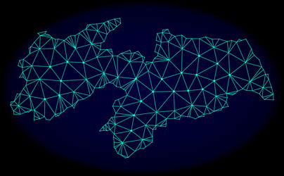 polygonal carcass mesh abstract map vector image
