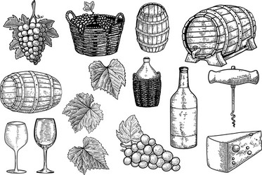 Set winery design elements element vector