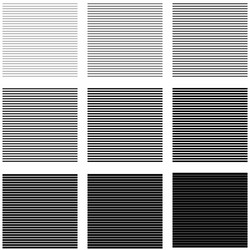 Horizontal Stripes and Lines Pattern vector image