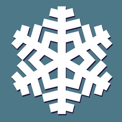 decorative abstract snowflake vector image