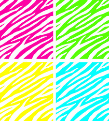 set zebra fur print seamless pattern vector image