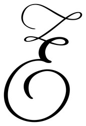 Calligraphy hand drawn letter e script Royalty Free Vector