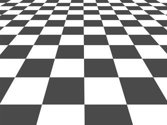 checkered square pattern ground perspective grid vector image