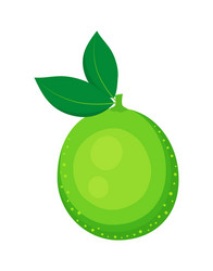 Fresh cartoon orange isolated on white background Vector Image