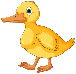 Duck Colour Drawing Vector Images (over 190) Duck Colour Drawing Vector Images (over 190)