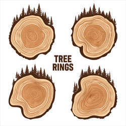 round tree trunk cuts with trees and forest sawn vector image