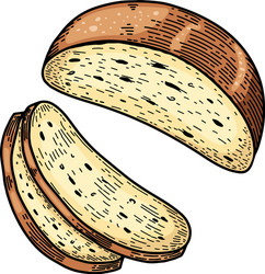 bread in engraving style design element vector image