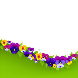 Background with pansies and leaf vector