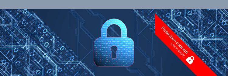 data security cyber or information privacy vector image