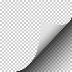 Page Curl with Paper Shadow vector image