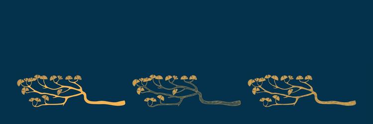 pine tree branches design elements collection vector image