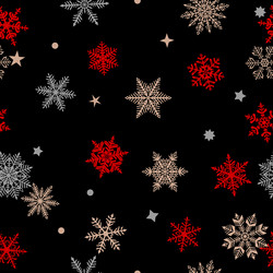 Winter Snowflake Pattern vector image