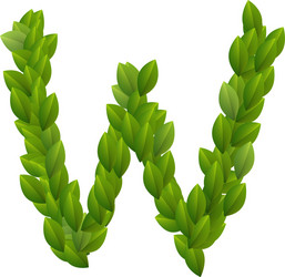 letter w of green leaves alphabet vector