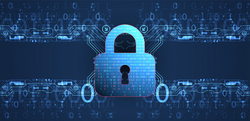 data security cyber or information privacy vector image