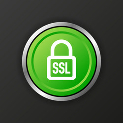 ssl encryption button secure icon vector image