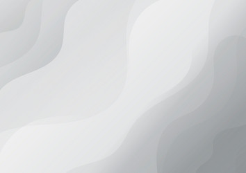 abstract white background with gray dynamic curve vector image