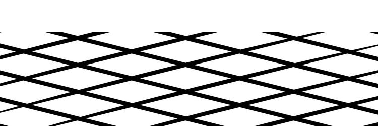 diagonal oblique grid mesh pattern lattice vector image