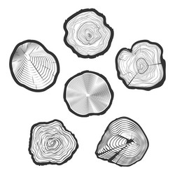 Cut tree rings background saw trunk Royalty Free Vector