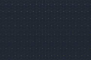 geometric seamless pattern with connected line vector image