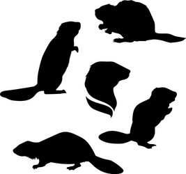 Beaver Silhouettes Collection Vector Image