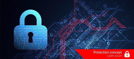 data security cyber or information privacy vector image