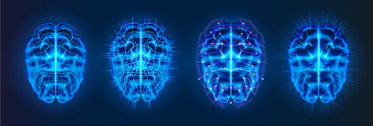 set isolated brains with connection lines vector image