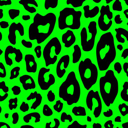 Retro Leopard Print Pattern vector image